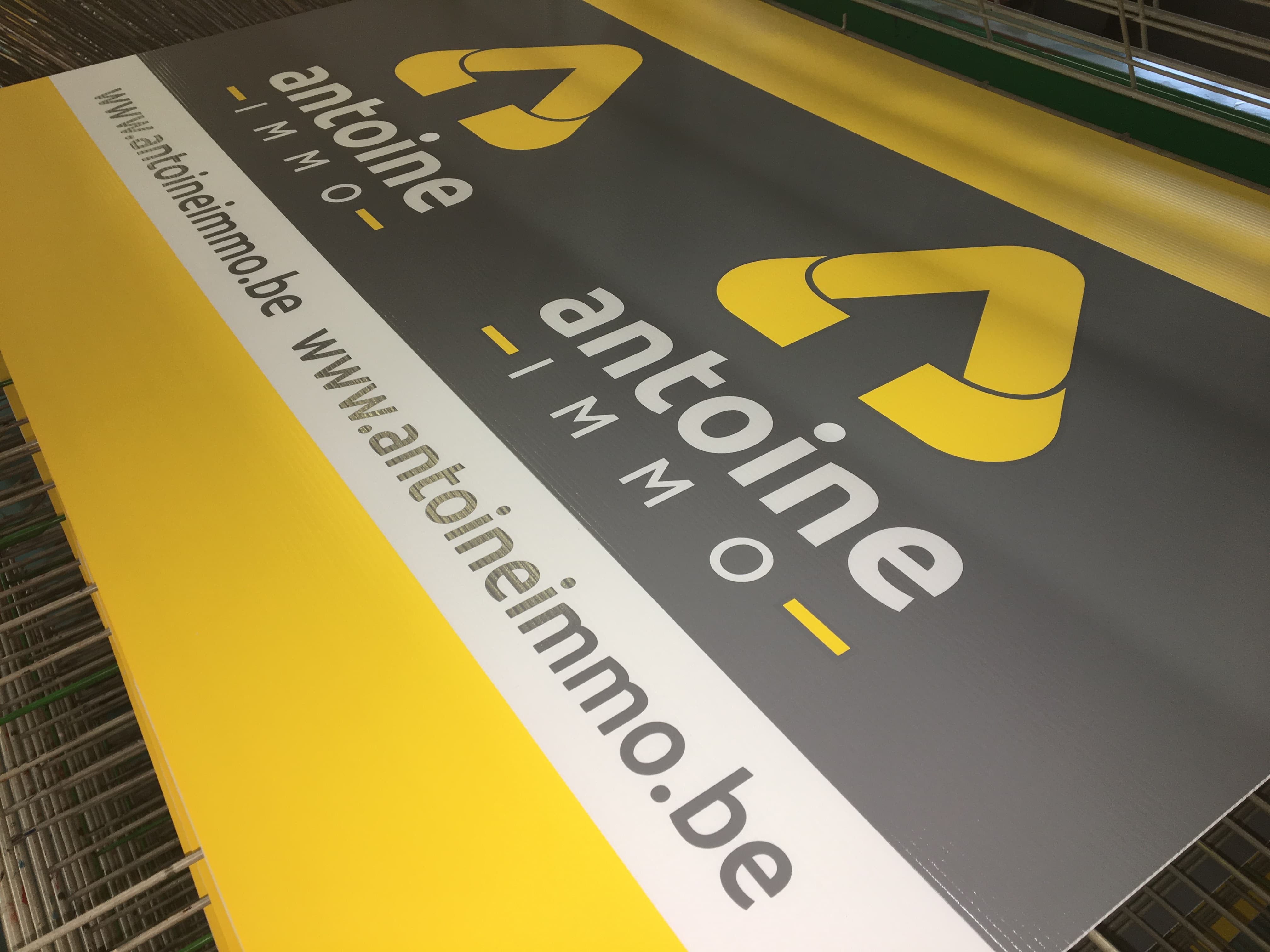 img seri antoine couleur 2