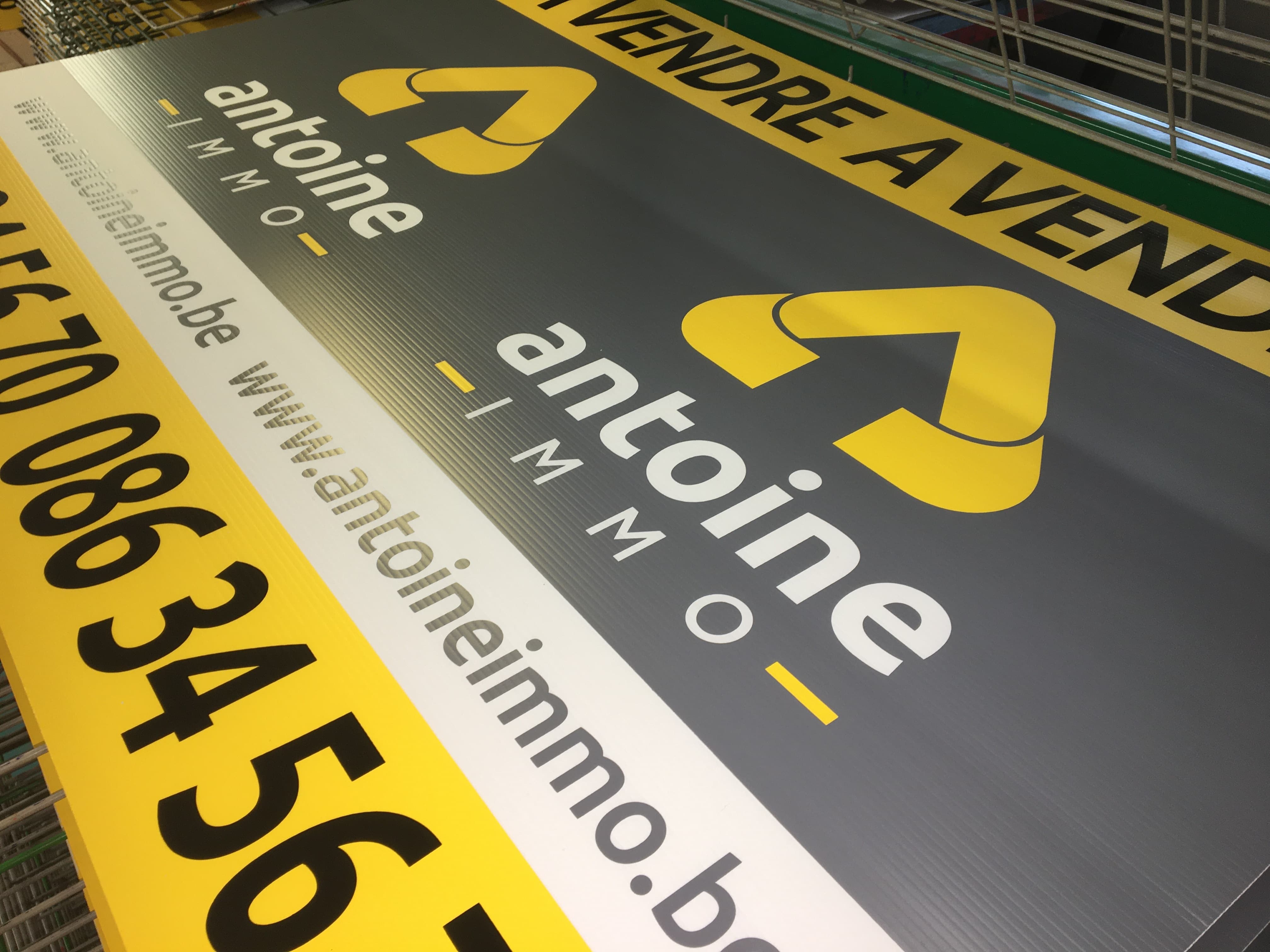 img seri antoine couleur 3